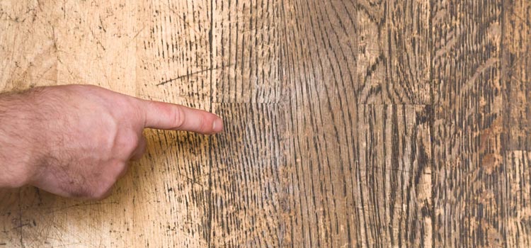 Wood Door Scratch Repair in Los Alamitos